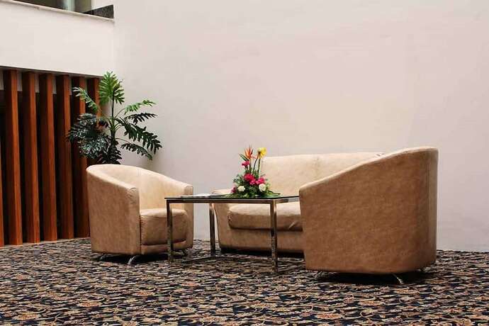 Imagen de los interiores del Hotel Grand Residence. Foto 18