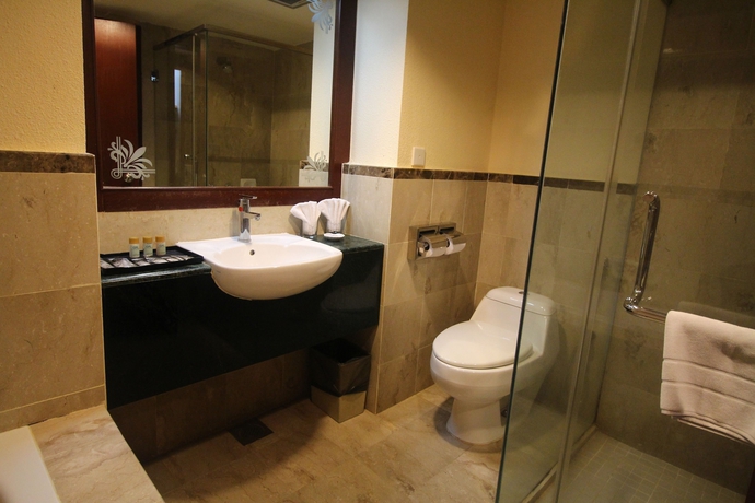 Imagen de la habitación del Hotel Grand Riverview. Foto 14