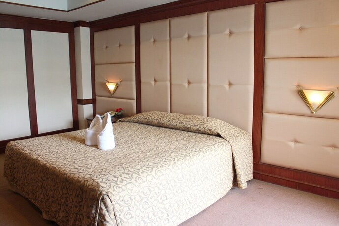 Imagen de la habitación del Hotel Grand Royal Plaza Hotel. Foto 3