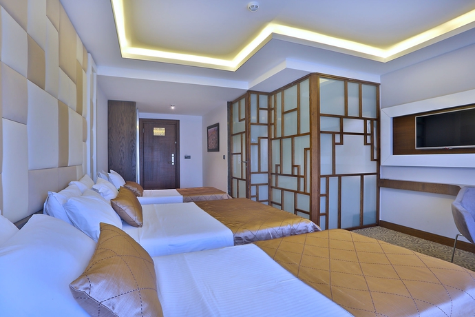 Imagen de la habitación del Hotel Grand Sagcanlar. Foto 13