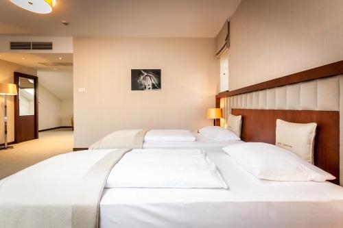 Imagen de la habitación del Hotel Grand Sal. Foto 9