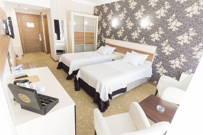 Imagen de la habitación del Hotel Grand Ser. Foto 7