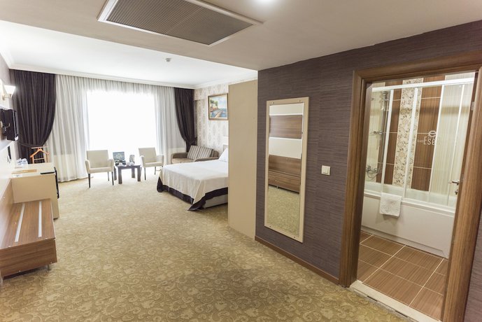 Imagen de la habitación del Hotel Grand Ser. Foto 12