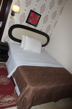 Imagen de la habitación del Hotel Grand Sina. Foto 3