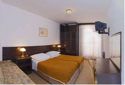 Imagen general del Hotel Grand Slavia. Foto 7