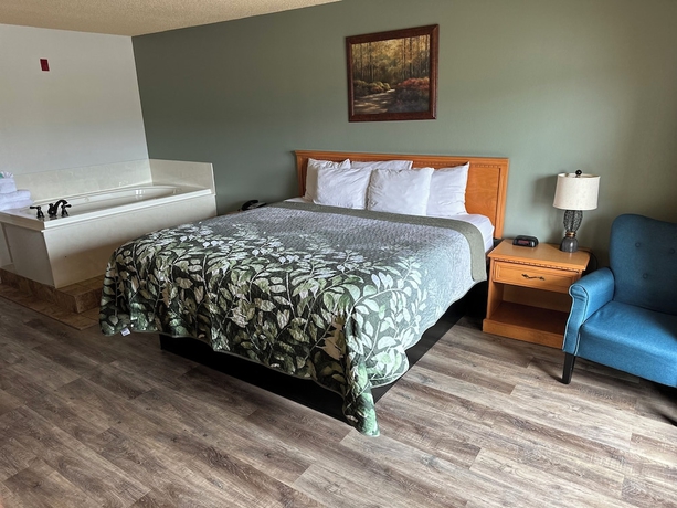 Imagen de la habitación del Hotel Grand Smokies Resort Lodge. Foto 9