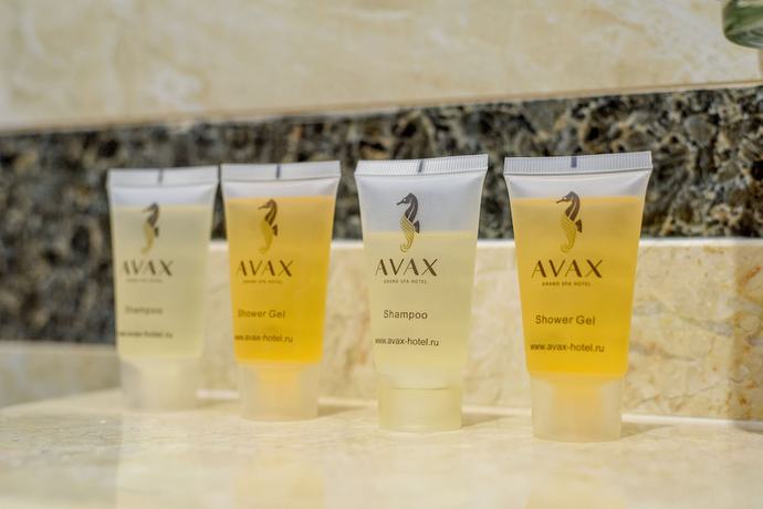 Imagen de la habitación del Hotel Grand Spa Avax. Foto 4