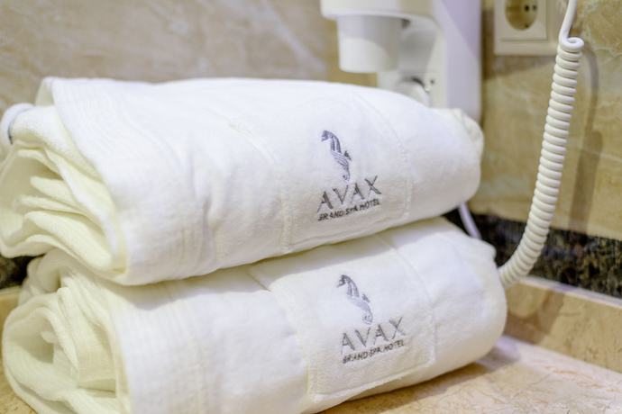 Imagen de la habitación del Hotel Grand Spa Avax. Foto 11