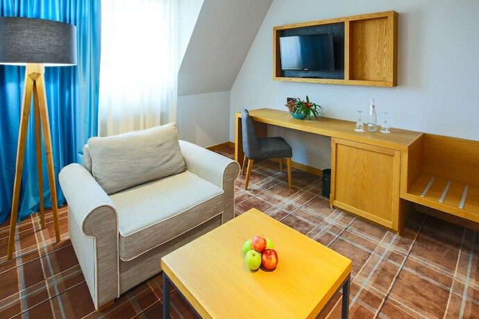 Imagen de la habitación del Hotel Grand Suhl. Foto 16
