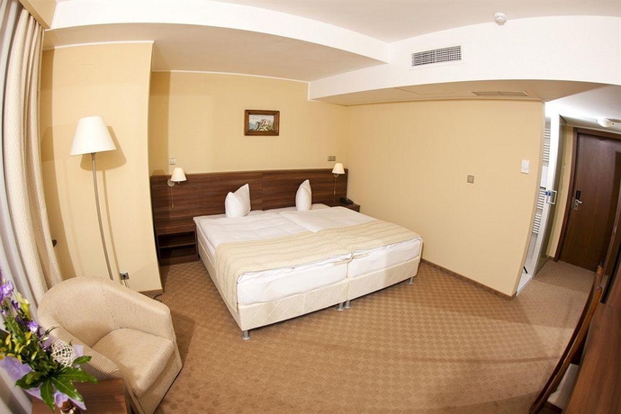 Imagen general del Hotel Grand, Targu-Mures. Foto 5