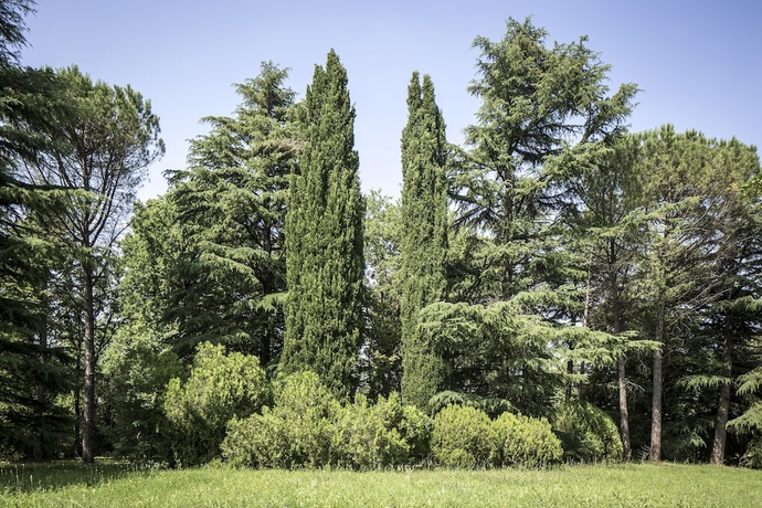 Imagen de los exteriores del Hotel Grand Terme, Riolo Terme. Foto 15