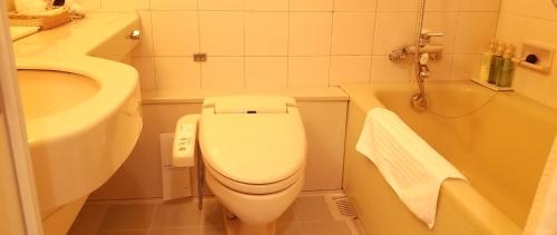 Imagen general del Hotel Grand Terrace Toyama. Foto 3