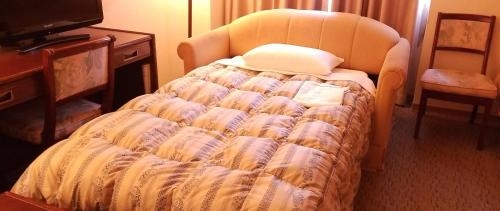 Imagen general del Hotel Grand Terrace Toyama. Foto 5