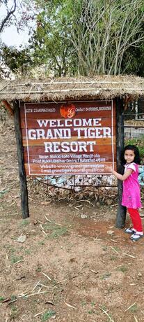 Imagen general del Hotel Grand Tiger Resort. Foto 13