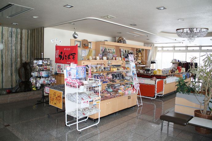 Imagen de los interiores del Hotel Grand Toya. Foto 19