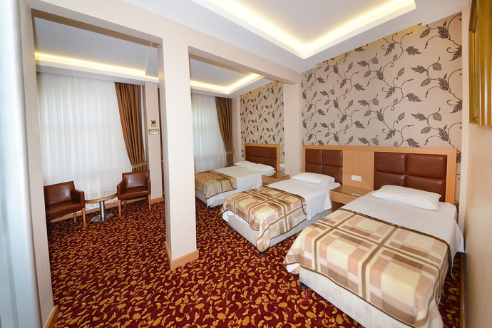 Imagen de la habitación del Hotel Grand Umit. Foto 4