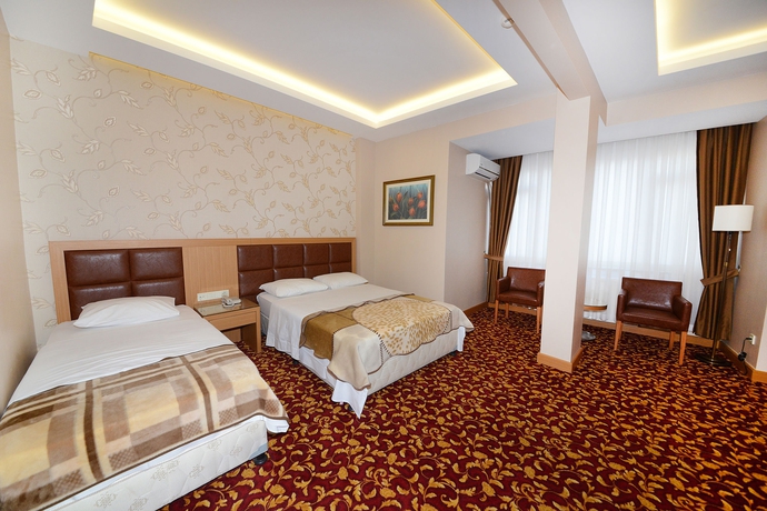 Imagen de la habitación del Hotel Grand Umit. Foto 5