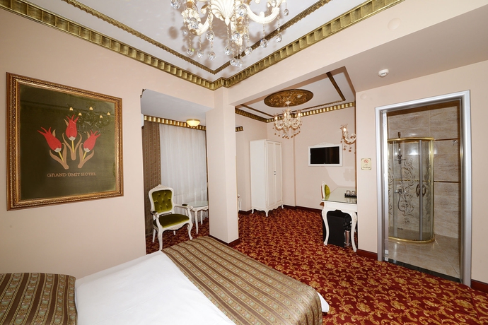 Imagen de la habitación del Hotel Grand Umit. Foto 11