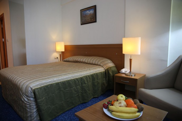 Imagen de la habitación del Hotel Grand Urfa, Sanliurfa. Foto 15