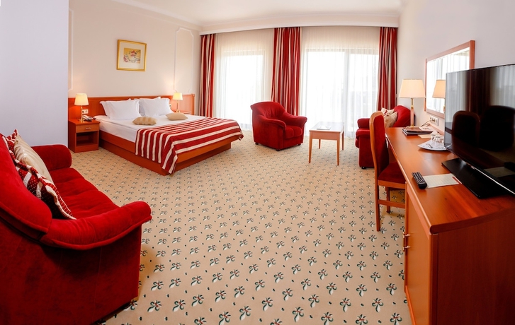 Imagen de la habitación del Hotel Grand Valentina. Foto 7