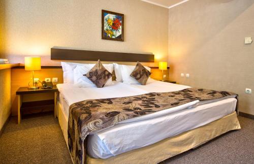 Imagen de la habitación del Hotel Grand Velingrad. Foto 17