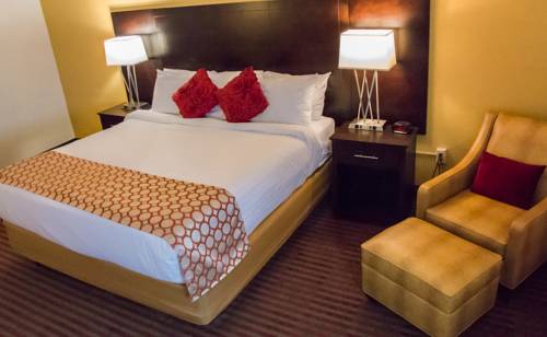 Imagen de la habitación del Hotel Grand Williston and Conference Center. Foto 7