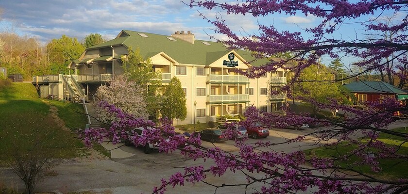 Imagen general del Hotel Grand Wood Suites. Foto 7