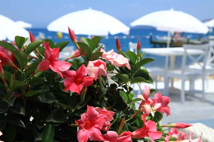 Imagen de los exteriores del Hotel Grand Yazıcı Torba Beach Club. Foto 11