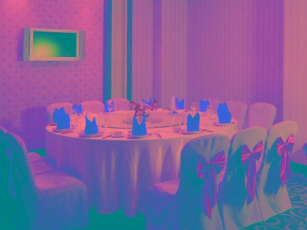 Imagen del bar/restaurante del Hotel Grand You You. Foto 3