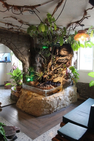 Imagen de los interiores del Hotel Grand ilama. Foto 16