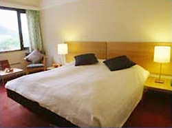 Imagen de la habitación del Hotel Grandane. Foto 1
