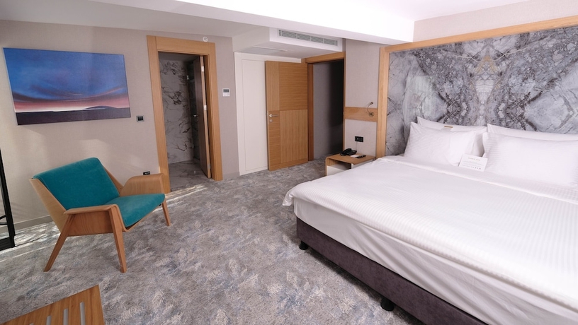 Imagen de la habitación del Hotel Grande Arte. Foto 13