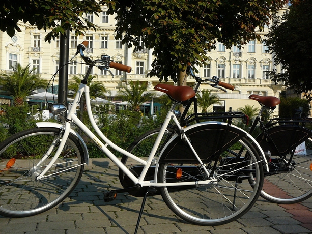 Imagen general del Hotel Grandhotel Pupp. Foto 2