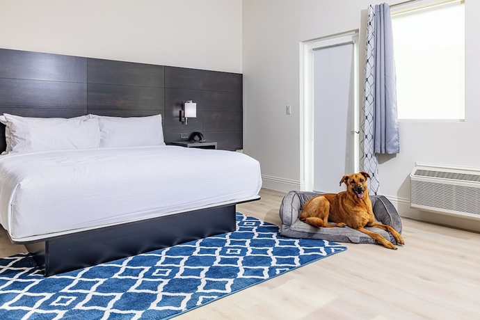 Imagen de la habitación del Hotel Grant Street Inn. Foto 7