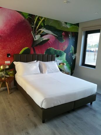 Imagen de la habitación del Hotel Grapple. Foto 12