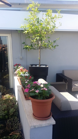 Imagen de los exteriores del Hotel Gravina San Pietro. Foto 10