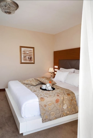 Imagen de la habitación del Hotel Gravis Suites. Foto 8
