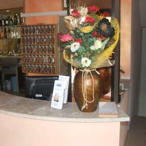 Imagen general del Hotel Grazia, Riccione. Foto 5