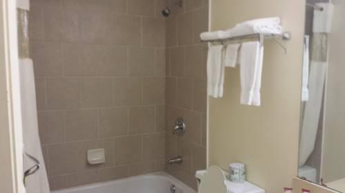 Imagen de la habitación del Hotel Great Lakes Inn and Suites. Foto 6
