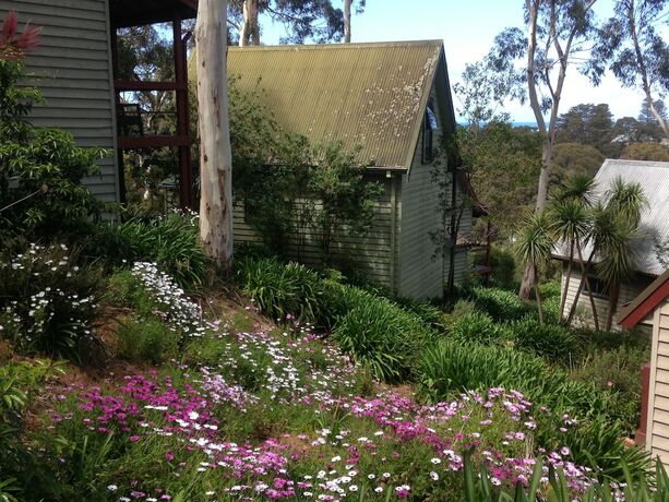 Imagen general del Hotel Great Ocean Road Cottages. Foto 6