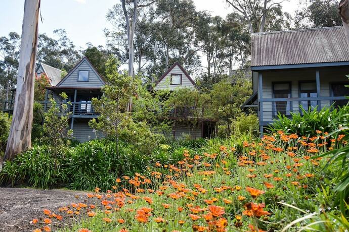 Imagen general del Hotel Great Ocean Road Cottages. Foto 7