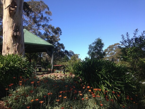 Imagen general del Hotel Great Ocean Road Cottages. Foto 14