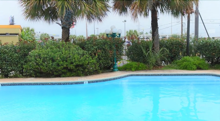 Imagen de la piscina del Hotel Great Value Inn. Foto 19