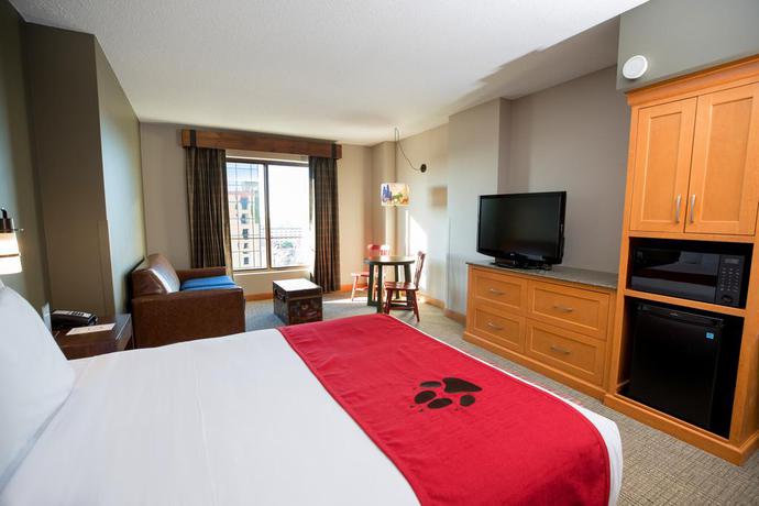 Imagen general del Hotel Great Wolf Lodge Bloomington. Foto 6