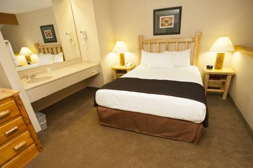 Imagen de la habitación del Hotel Great Wolf Lodge Cincinnati/mason. Foto 2
