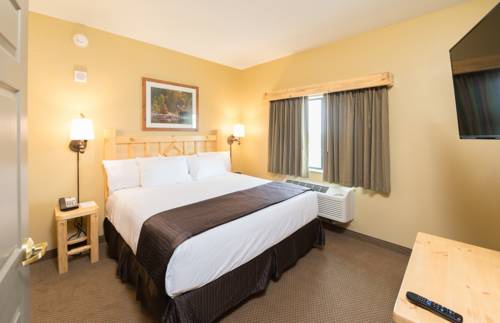 Imagen de la habitación del Hotel Great Wolf Lodge Concord. Foto 7