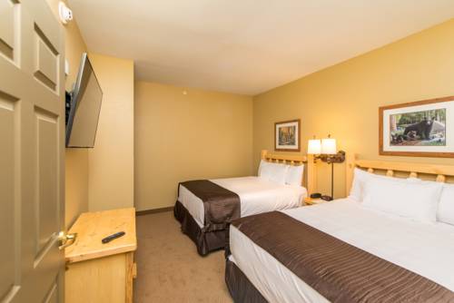 Imagen de la habitación del Hotel Great Wolf Lodge Concord. Foto 8