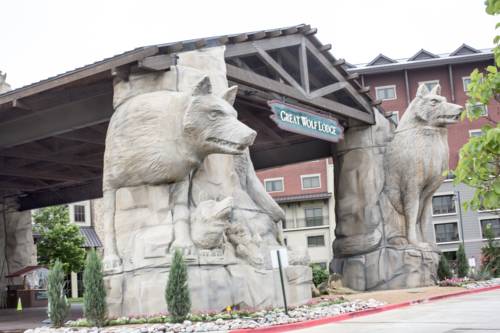 Imagen de la habitación del Hotel Great Wolf Lodge Grapevine. Foto 2