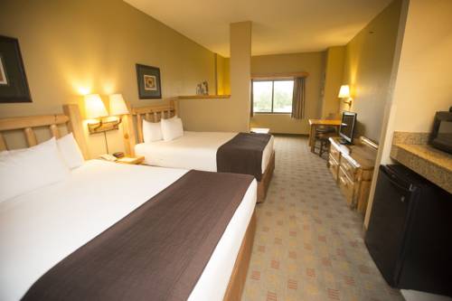 Imagen de la habitación del Hotel Great Wolf Lodge Grapevine. Foto 4