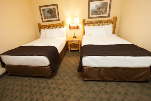 Imagen de la habitación del Hotel Great Wolf Lodge Grapevine. Foto 5